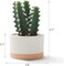 Set of 3 Artificial Succulents in Ceramic Pots – Faux Small Potted Cactus Plants for Home Decor, Bedroom, Office Desk, Living Room & Shelf Decoration